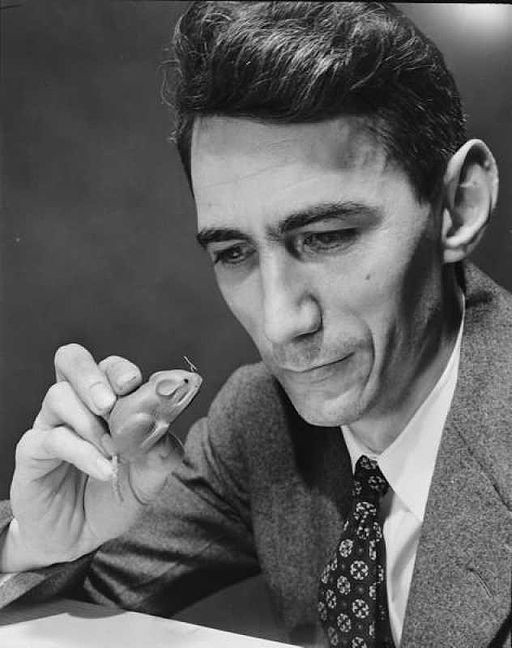 Claude Shannon holding a robot mouse